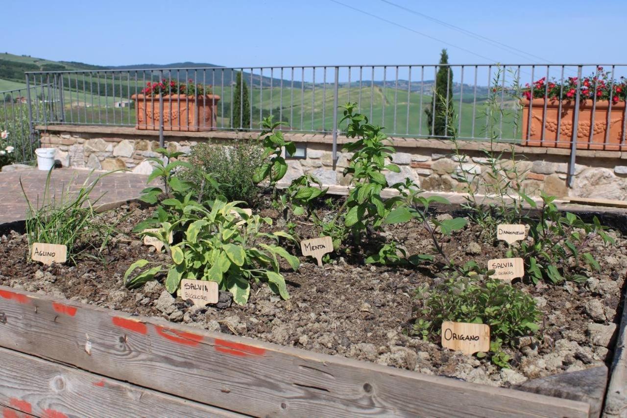Вилла Agriturismo La Paciarella Campiglia d'Orcia Экстерьер фото