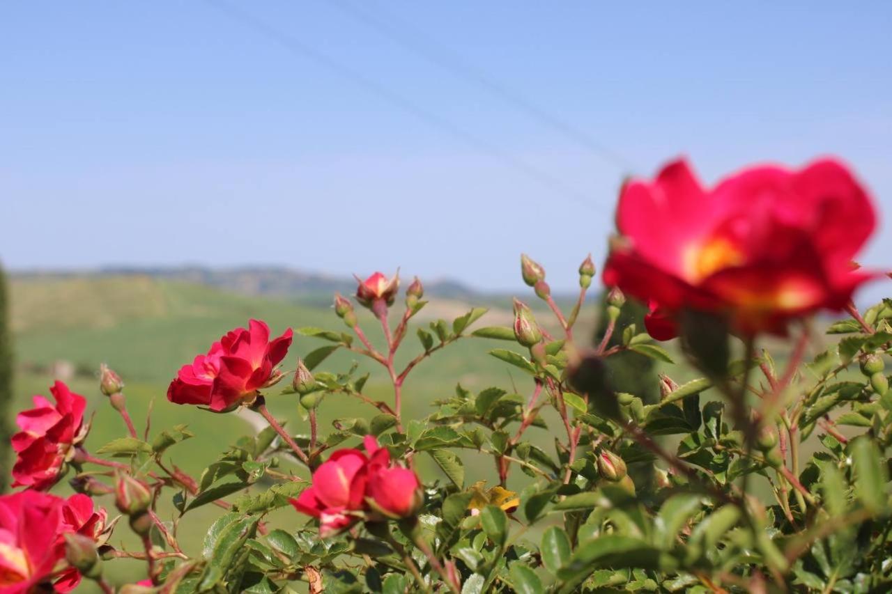 Вилла Agriturismo La Paciarella Campiglia d'Orcia Экстерьер фото