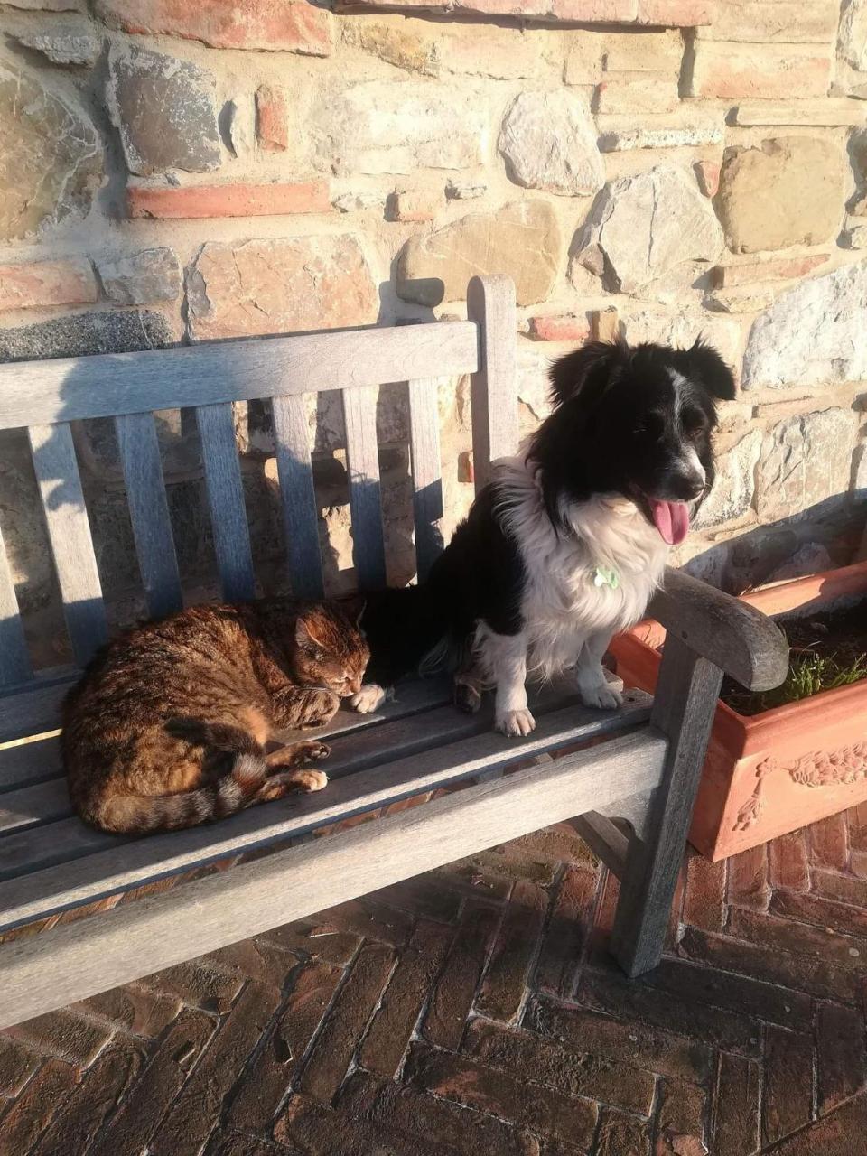 Вилла Agriturismo La Paciarella Campiglia d'Orcia Экстерьер фото